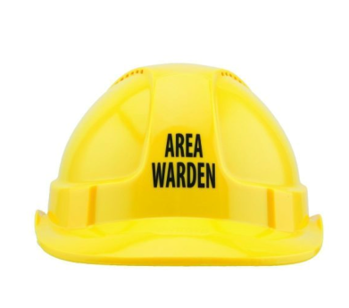 Area Warden Helmet